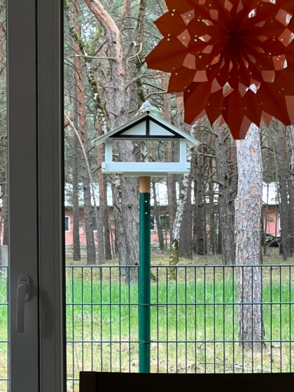 Tierischer Besuch (2)