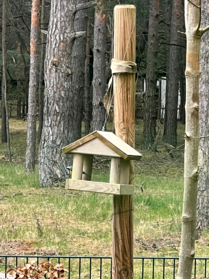 Tierischer Besuch (3)